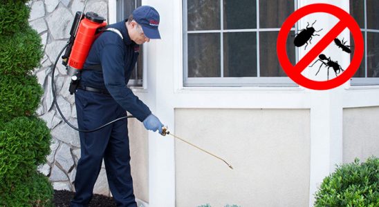 Çamlıdere Bit İlaçlama böcek ilaçlama ve haşere kontrolü — ilaclama-tr.com